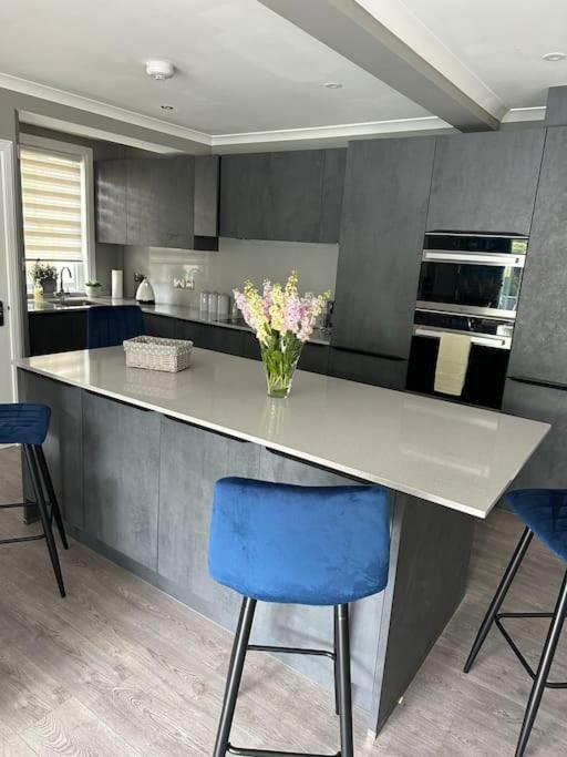 Cameron Coach House Modern Property In Murrayfield Edimburgo Esterno foto